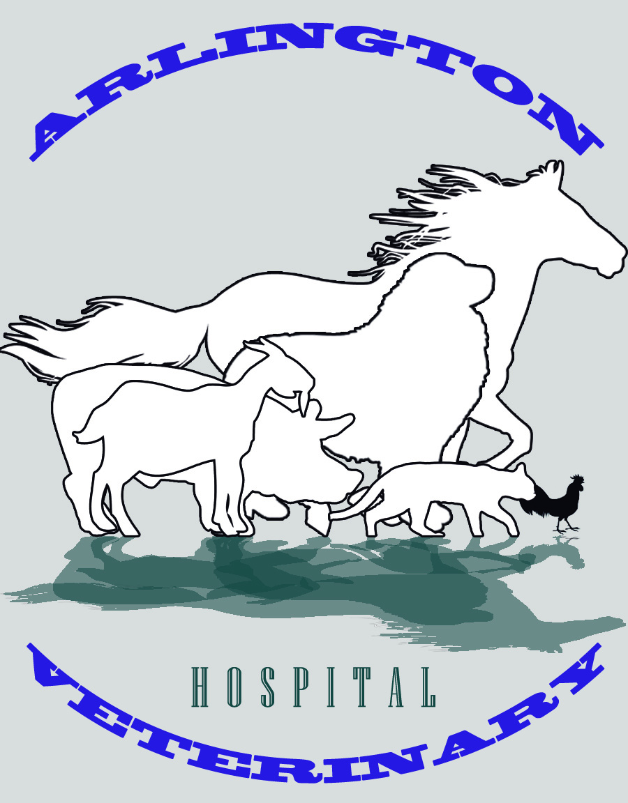 Logo Design by Santy_gd for this project | Design #2608991