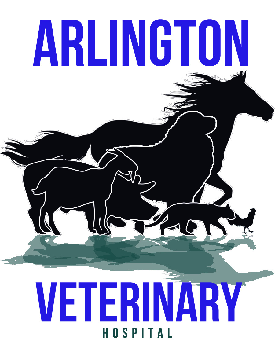 Diseño de Logo por Santy_gd para este proyecto | Diseño #2623045