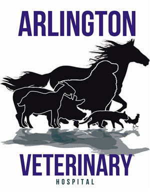 Diseño de Logo por Santy_gd para este proyecto | Diseño: #2623045