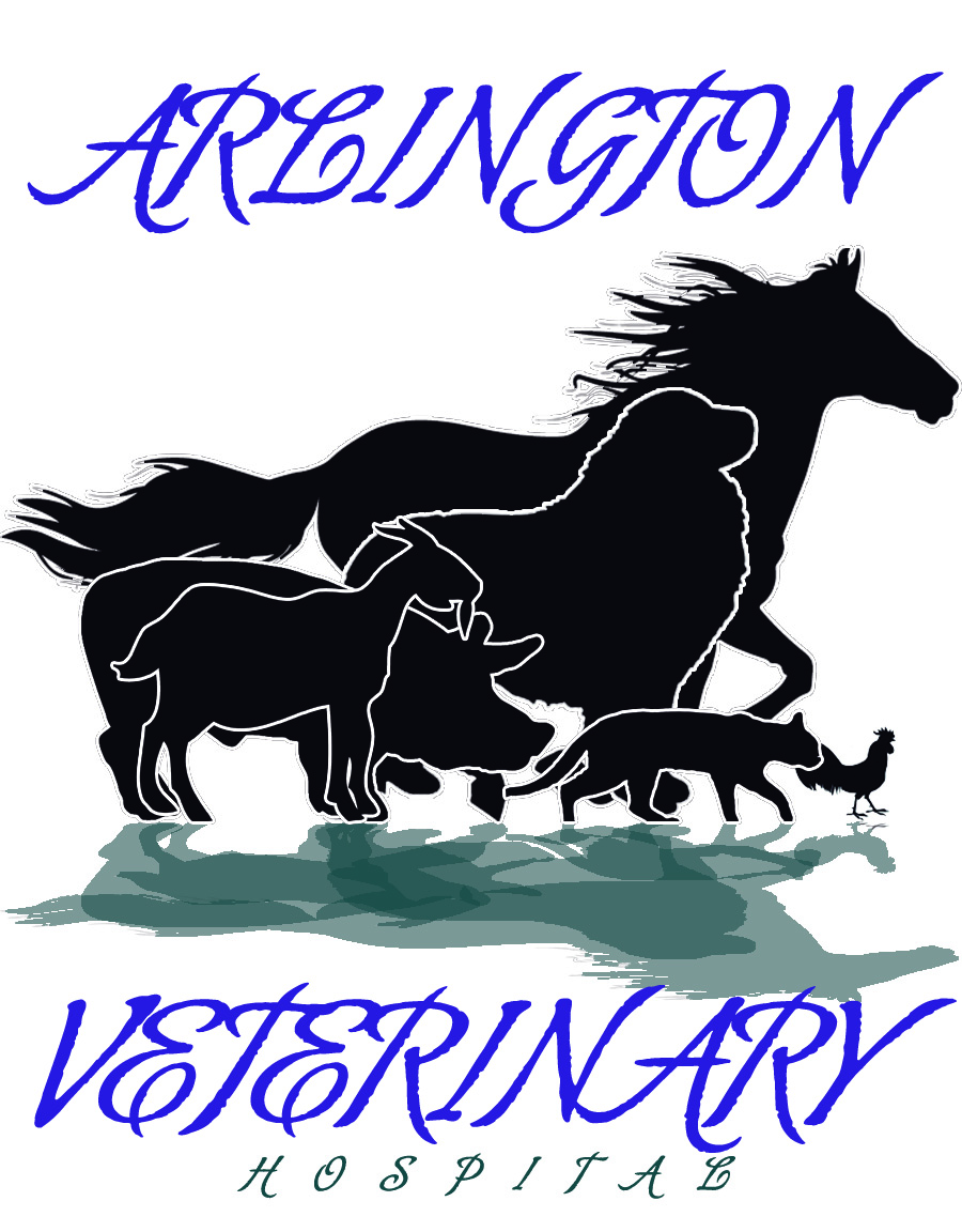 Logo Design by Santy_gd for this project | Design #2628272