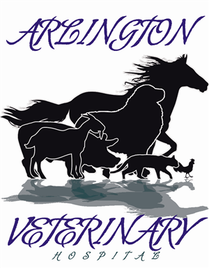 Diseño de Logo por Santy_gd para este proyecto | Diseño: #2628272