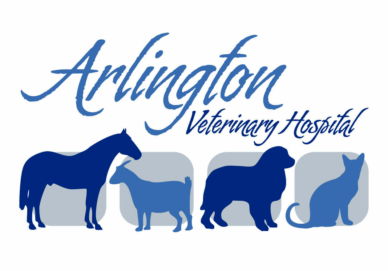 Logo Design by OKI Design Studio for this project | Design #2582781