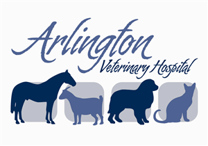 Logo Design by Hallyz Grafix for this project | Design #2582781
