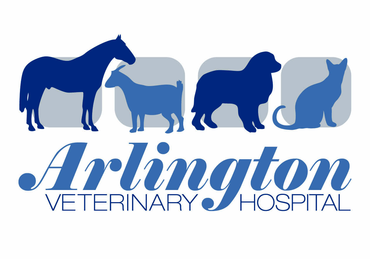 Diseño de Logo por OKI Design Studio para este proyecto | Diseño #2582785