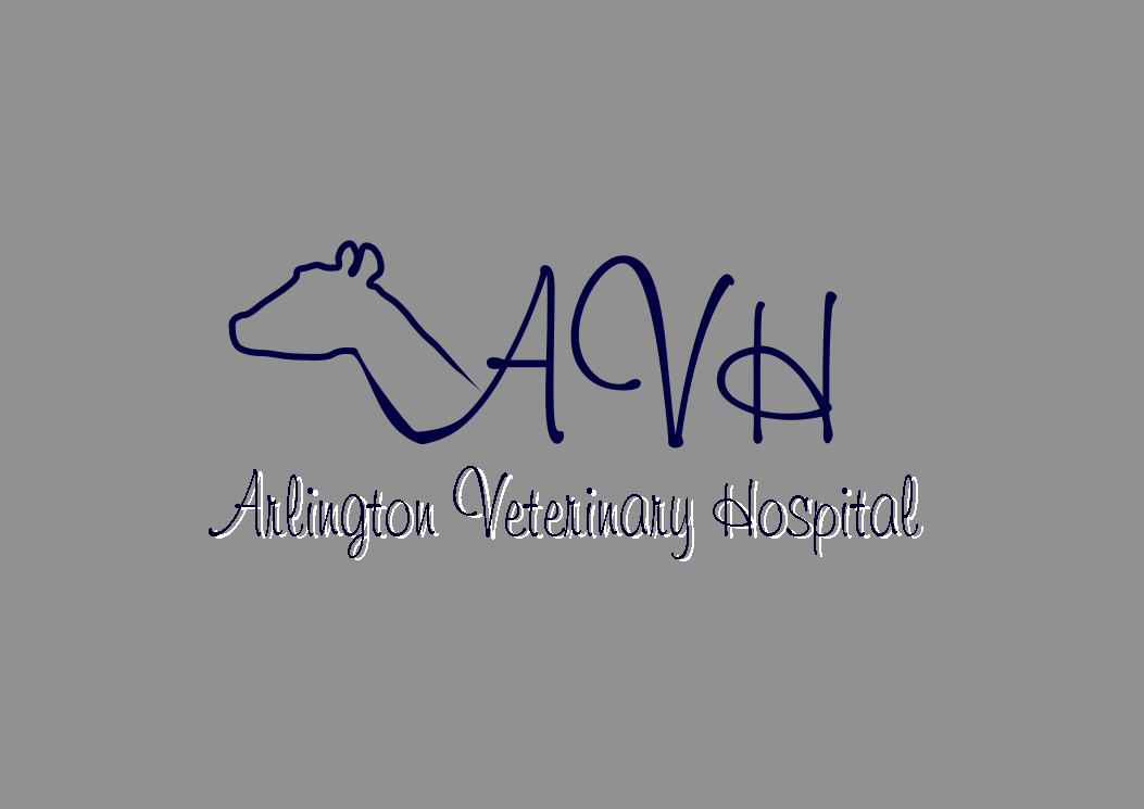 Logo Design by Imaginarte Photogrphy for this project | Design #2581710