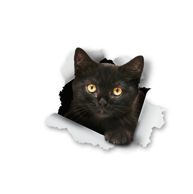Sticker Design by Sarina.dsg for Mediapedia Pty Ltd | Design #15232678