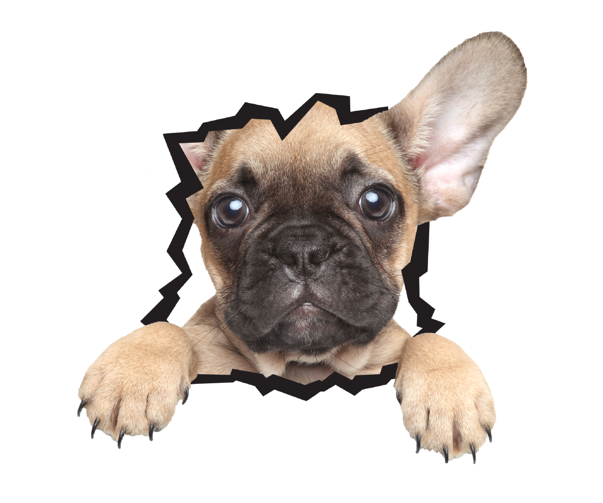 Sticker Design by Typino Studios for Mediapedia Pty Ltd | Design #15231889