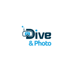 Logo Design by ecorokerz for Dive And More LLC | Design: #15283869