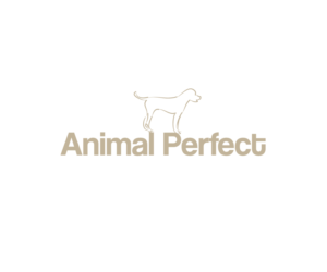 Logo Design by isabel paoli for WeSocial | Design: #15248477
