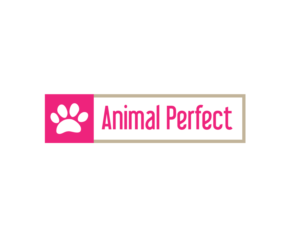 Logo Design by isabel paoli for WeSocial | Design: #15292939