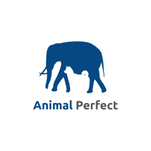 Logo Design by Jhonas