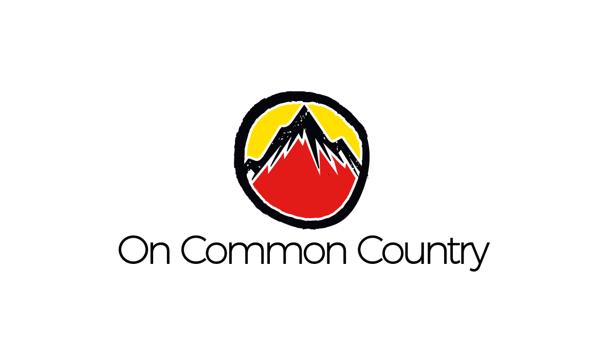 Diseño de Logo por trufya para Civil Safety Pty Ltd | Diseño #15262773