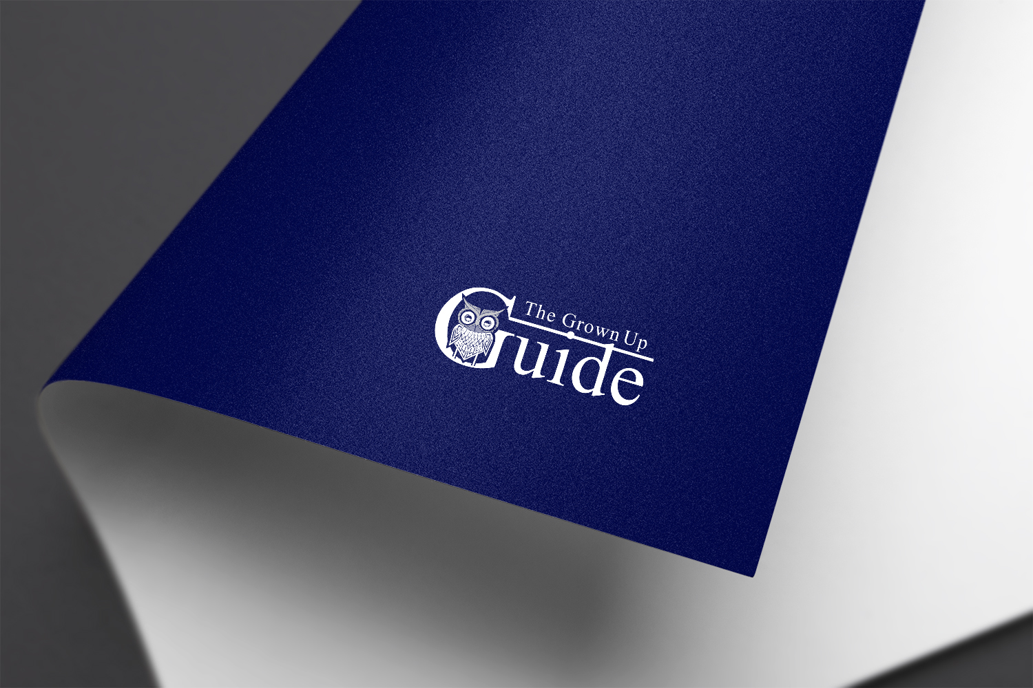 Logo Design by A.STUDIO for this project | Design #15385847