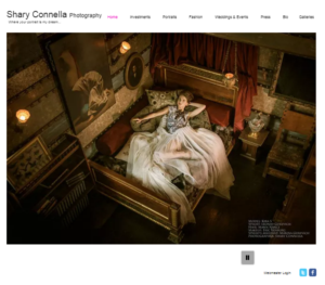Web Design by Steve Kuehn