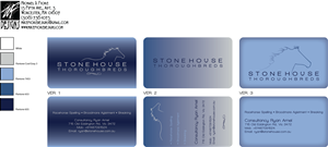 Business Card Design by MikeFioreDesigns for this project | Design #2585667