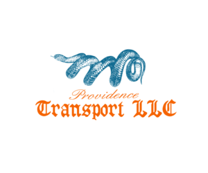 Logo Design by Gemini Geeks