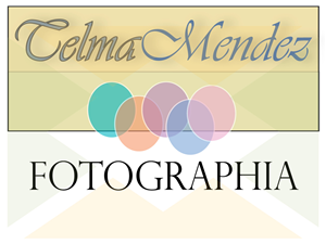 Logo Design by MC179