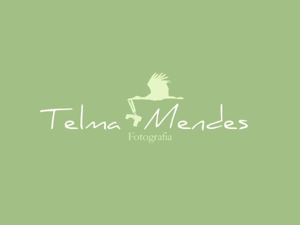 Logo Design by Hoopoe for this project | Design #582470