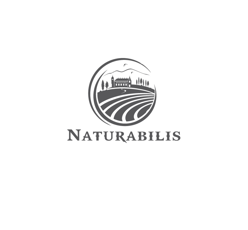Logo Design by instudio for this project | Design #15241777