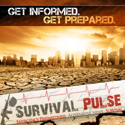 Diseño De Banner Publicitario por ketoprofen para Survival Pulse | Diseño: #2587727