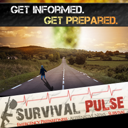 Diseño De Banner Publicitario por ketoprofen para Survival Pulse | Diseño: #2590629