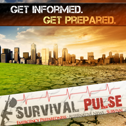 Diseño De Banner Publicitario por ketoprofen para Survival Pulse | Diseño: #2593884