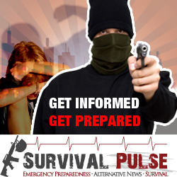 Diseño De Banner Publicitario por uk para Survival Pulse | Diseño: #2579120