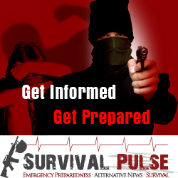 Diseño De Banner Publicitario por uk para Survival Pulse | Diseño: #2581948