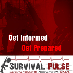 Diseño De Banner Publicitario por uk para Survival Pulse | Diseño: #2582015