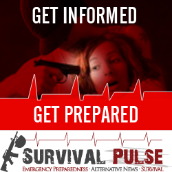 Diseño De Banner Publicitario por uk para Survival Pulse | Diseño: #2595454