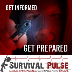 Diseño De Banner Publicitario por uk para Survival Pulse | Diseño: #2595474