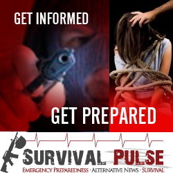 Diseño De Banner Publicitario por uk para Survival Pulse | Diseño: #2595485