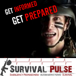 Diseño De Banner Publicitario por uk para Survival Pulse | Diseño: #2596729