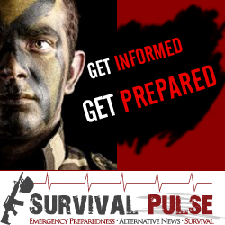 Diseño De Banner Publicitario por uk para Survival Pulse | Diseño: #2596733