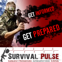 Diseño De Banner Publicitario por uk para Survival Pulse | Diseño: #2596735