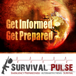 Banner Ad Design by earldesigns for Survival Pulse | Design: #2601331