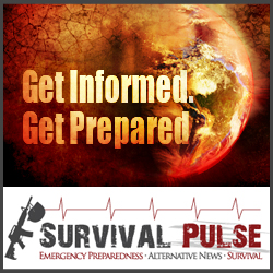 Banner Ad Design by earldesigns for Survival Pulse | Design #2613294