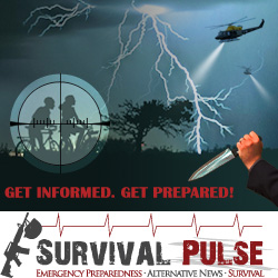 Diseño De Banner Publicitario por youyu para Survival Pulse | Diseño: #2576751