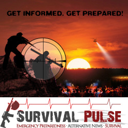 Diseño De Banner Publicitario por youyu para Survival Pulse | Diseño: #2582424