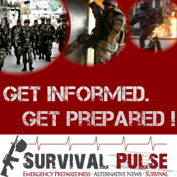 Banner Ad Design by Chakor's designs