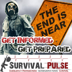 Banner Ad Design by Oskars for Survival Pulse | Design #2604470