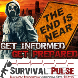Banner Ad Design by Oskars for Survival Pulse | Design #2604471