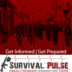 Banner Ad Design by Kreative Ideaz