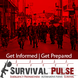 Diseño De Banner Publicitario por Kreative Ideaz para Survival Pulse | Diseño: #2593731