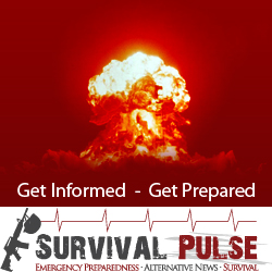 Banner Ad Design by Zainab Enterprises for Survival Pulse | Design #2593777
