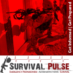 Diseño De Banner Publicitario por Kreative Ideaz para Survival Pulse | Diseño: #2593792
