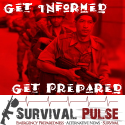 Diseño De Banner Publicitario por Kreative Ideaz para Survival Pulse | Diseño: #2593816