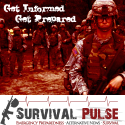 Diseño De Banner Publicitario por Kreative Ideaz para Survival Pulse | Diseño: #2593829