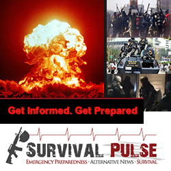 Diseño De Banner Publicitario por creationz2011 para Survival Pulse | Diseño: #2595873