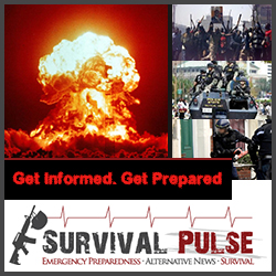 Diseño De Banner Publicitario por creationz2011 para Survival Pulse | Diseño: #2596381